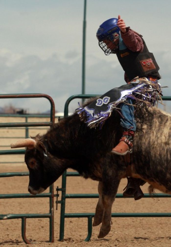 Mini Bull Riding